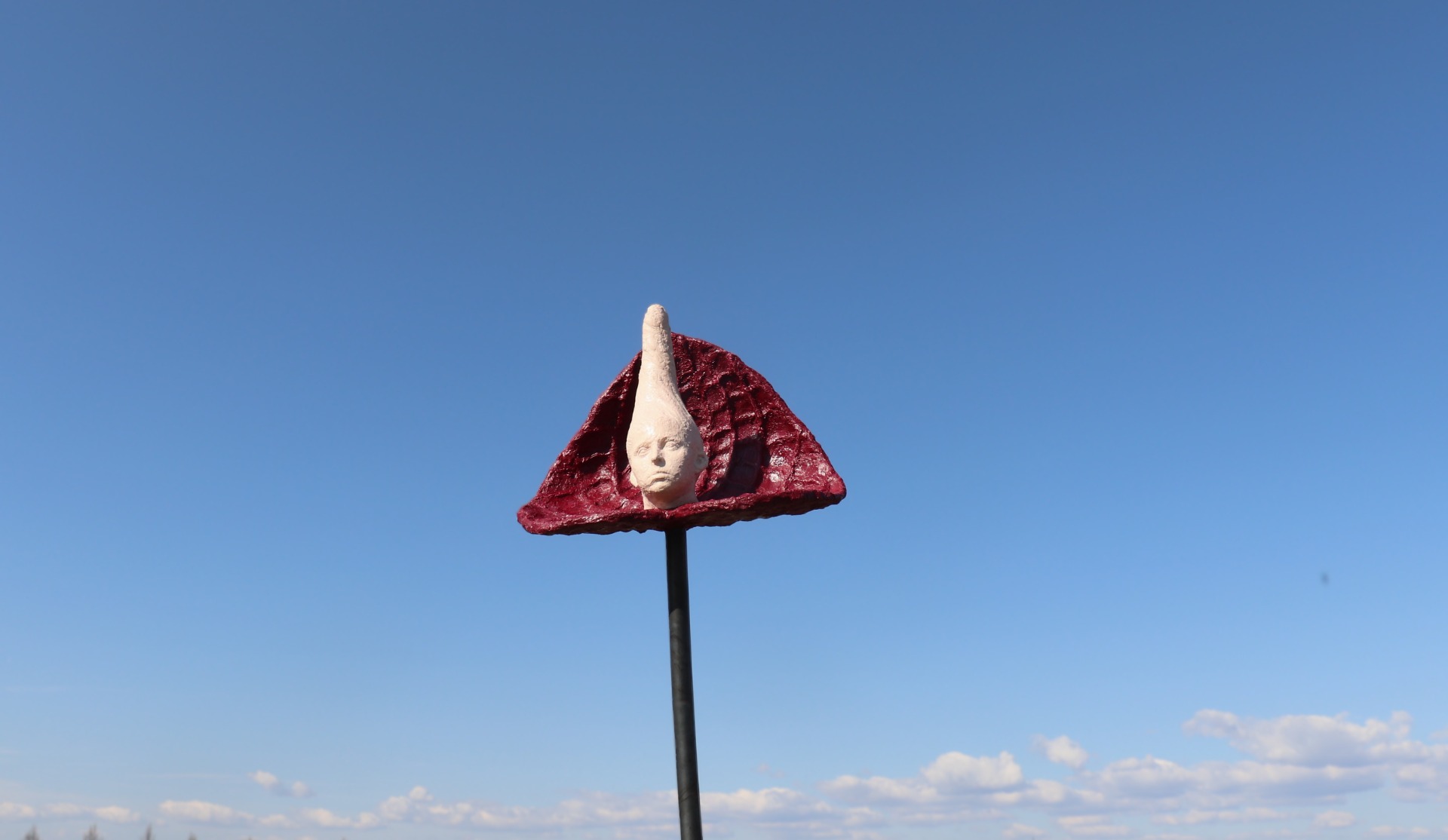 Anthuriella Problematica